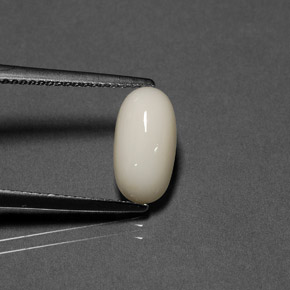 Corallo naturale bianco da 2,02 ct, taglio ovale, opaco