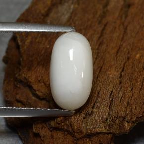 Corallo naturale bianco da 2,39 ct, taglio ovale, opaco