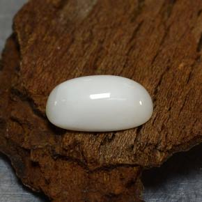 Corallo naturale bianco da 2,39 ct, taglio ovale, opaco