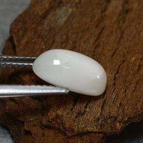 Corallo naturale bianco da 2,39 ct, taglio ovale, opaco