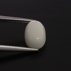 Corallo Bianco naturale da 2.00 ct, Taglio ovale, Opaco