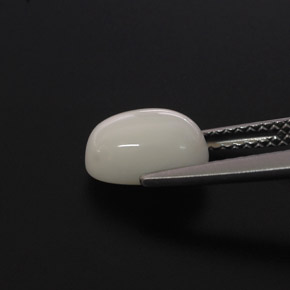 Corallo Bianco naturale da 2.00 ct, Taglio ovale, Opaco