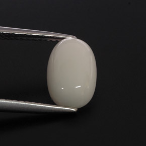 Corallo naturale bianco da 2,37 ct, taglio ovale, opaco