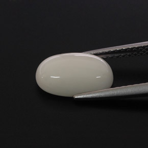 Corallo naturale bianco da 2,37 ct, taglio ovale, opaco