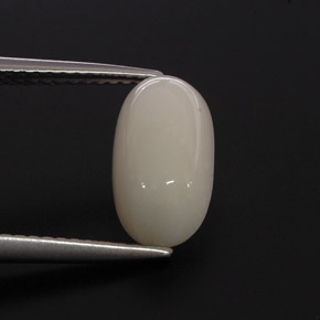 Corallo naturale bianco da 2,85 ct, taglio ovale, opaco