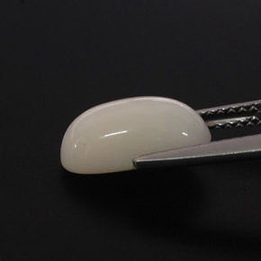 Corallo naturale bianco da 2,85 ct, taglio ovale, opaco