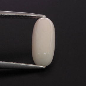 Corallo naturale bianco da 2,28 ct, taglio ovale, opaco