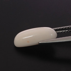 Corallo naturale bianco da 2,28 ct, taglio ovale, opaco