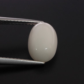 Corallo naturale bianco da 2,68 ct, taglio ovale, opaco