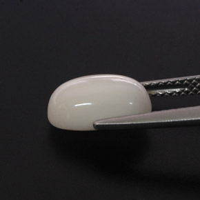 Corallo naturale bianco da 2,68 ct, taglio ovale, opaco