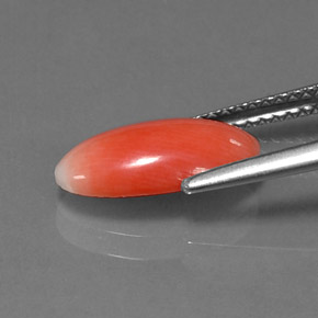 Corallo Color salmone naturale da 1.69 ct, Taglio ovale, Opaco