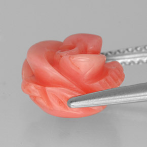 Corallo naturale salmone da 3,61 ct, forma fantasia, opaco