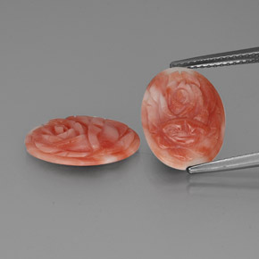Corallo naturale bicolore da 5,09 ct, forma fantasia, opaco