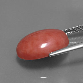 Corallo naturale rosa da 7,54 ct, taglio ovale, opaco