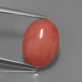 Corallo naturale rosa da 5,26 ct, taglio ovale, opaco