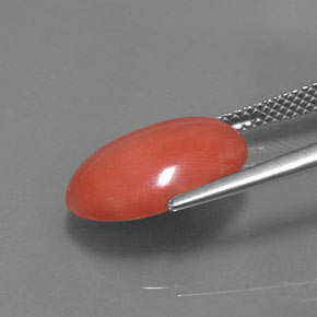 Corallo naturale rosa da 5,26 ct, taglio ovale, opaco