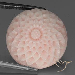 24.56ct Naturale Rosa salmone Corallo, Taglio a fiore, Opaco