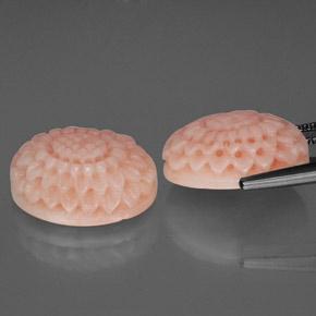 Gemme di corallo rosa salmone naturale da 15,32 ct, forma fantasia, opaco