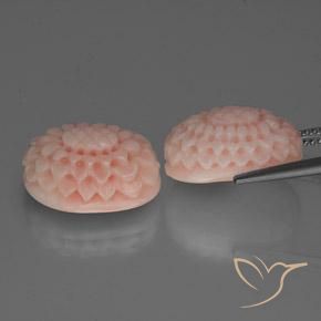 Gemme di Corallo Rosa salmone naturale da 16.64 ct, Taglio a fantasia, Opaco
