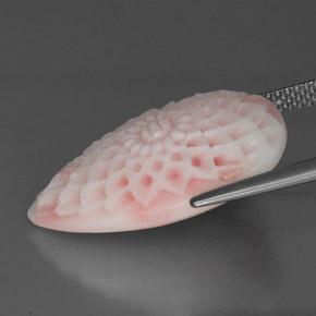 Corallo Rosa naturale da 13.69 ct, Forma fantasia, Opaco