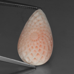 Corallo naturale bianco da 19,21 ct, forma fantasia, opaco