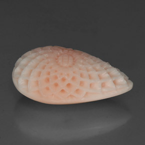 Corallo naturale bianco da 19,21 ct, forma fantasia, opaco