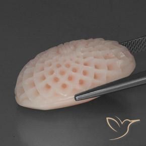 Corallo Rosa salmone naturale da 29.15 ct, Taglio a fiore, Opaco