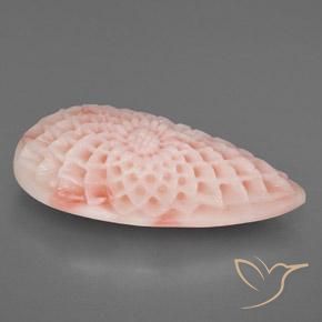 Corallo rosa fenicottero naturale da 21.12 ct, Taglio a fantasia, Opaco