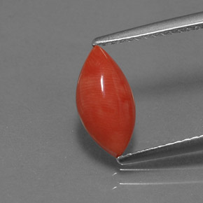 Corallo naturale rosa da 1,23 ct, marchesa, opaco