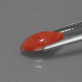 Corallo naturale rosa da 1,23 ct, marchesa, opaco