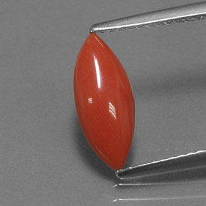 Corallo naturale rosa da 1,18 ct, marchesa, opaco