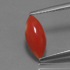 Corallo naturale rosa da 1,30 ct, marchesa, opaco