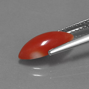 Corallo naturale rosa da 1,30 ct, marchesa, opaco