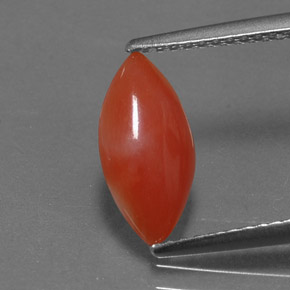 Corallo naturale rosa da 1,16 ct, marchesa, opaco