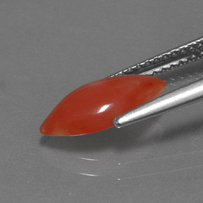 Corallo naturale rosa da 1,16 ct, marchesa, opaco