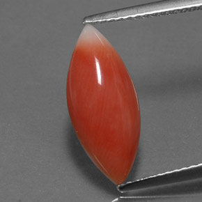 Corallo naturale rosa da 2,56 ct, marchesa, opaco