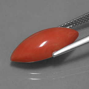 Corallo Bianco salmone naturale da 4.46 ct, Taglio marquise, Opaco