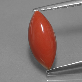 Corallo naturale rosa da 3,54 ct, marchesa, opaco