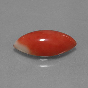 Corallo Bianco salmone naturale da 2.34 ct, Taglio marquise, Opaco