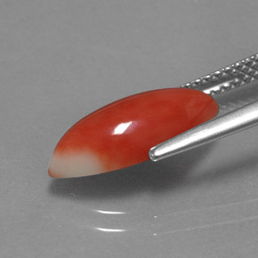 Corallo Bianco salmone naturale da 2.34 ct, Taglio marquise, Opaco