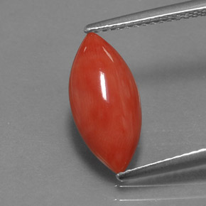 Corallo naturale rosa da 2,03 ct, marchesa, opaco