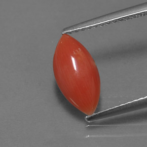 Corallo Bianco salmone naturale da 1.27 ct, Taglio marquise, Opaco