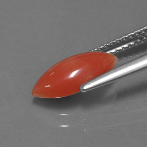 Corallo Bianco salmone naturale da 1.27 ct, Taglio marquise, Opaco