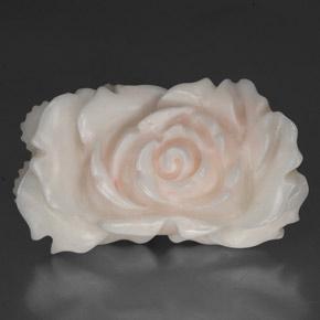 Corallo naturale bianco da 24,33 ct, forma fantasia, opaco