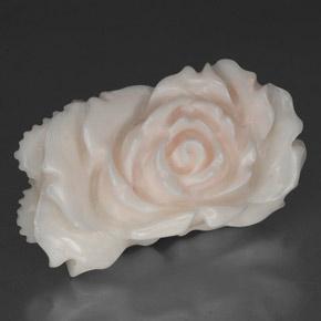 Corallo naturale bianco da 24,33 ct, forma fantasia, opaco