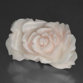 Corallo naturale bianco da 24,33 ct, forma fantasia, opaco