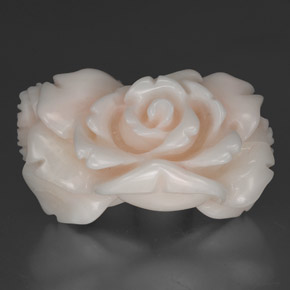 Corallo naturale bianco da 30,35 ct, forma fantasia, opaco