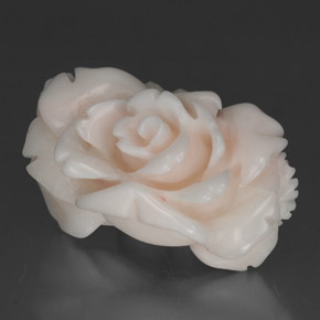 Corallo naturale bianco da 30,35 ct, forma fantasia, opaco