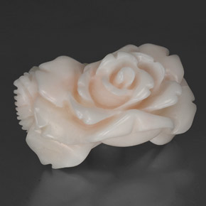 Corallo naturale bianco da 30,35 ct, forma fantasia, opaco