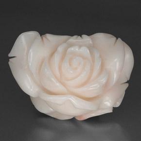 Corallo naturale bianco da 34,31 ct, forma fantasia, opaco
